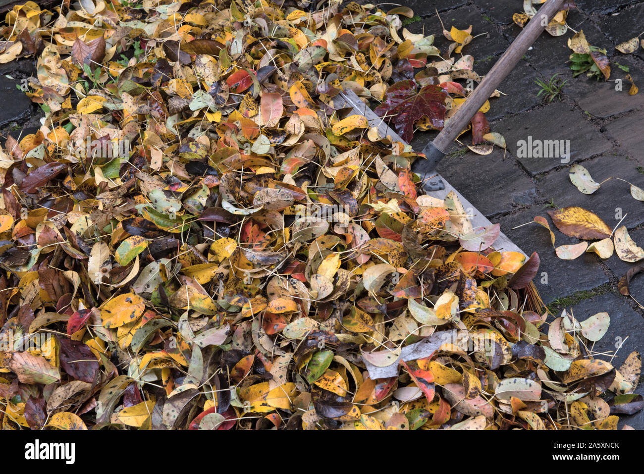 Stapel der Blätter im Herbst auf Pflastersteinen und einem Besen Stockfoto