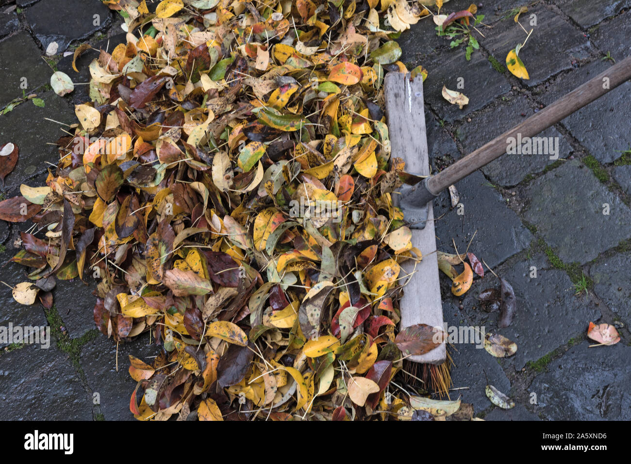 Stapel der Blätter im Herbst auf Pflastersteinen und einem Besen Stockfoto