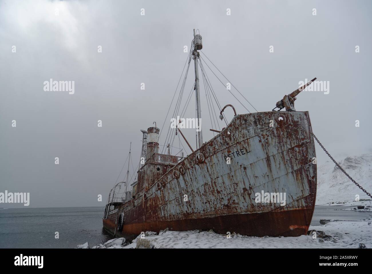 Die Petrel, ein alter Walfang Boot an die verlassene Walfangstation Grytviken, Südgeorgien, Südgeorgien und die Südlichen Sandwichinseln Stockfoto