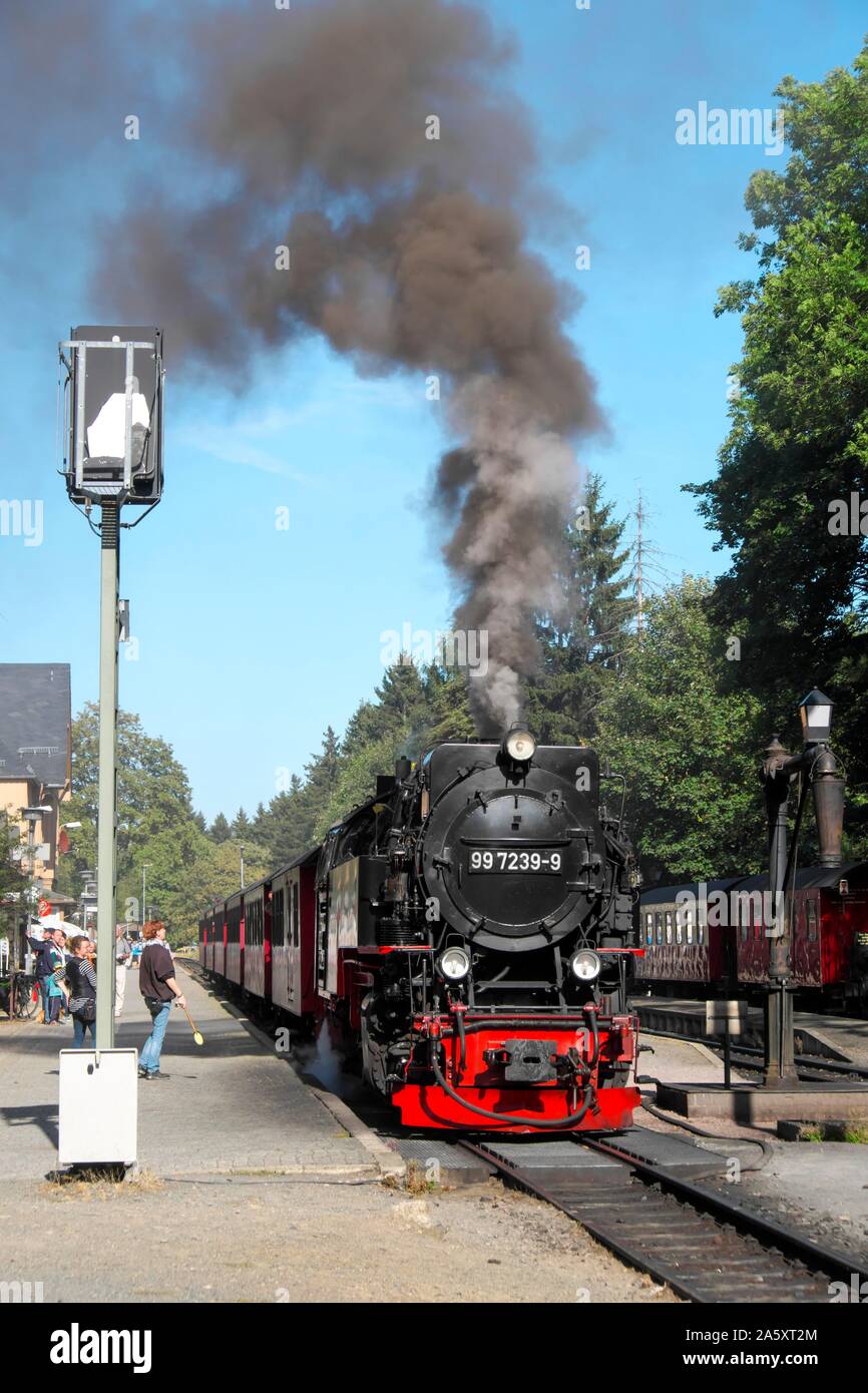 Brockenbahn am Bahnhof Drei-Annen-Hohne, Harz, Sachsen-Anhalt, Deutschland Stockfoto