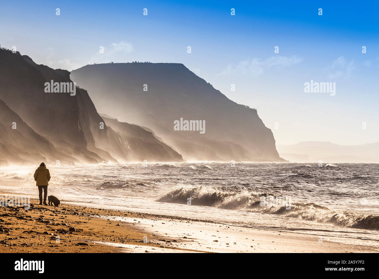 Am frühen Morgen einen Hund Walker auf Charmouth Beach in Dorset. Stockfoto