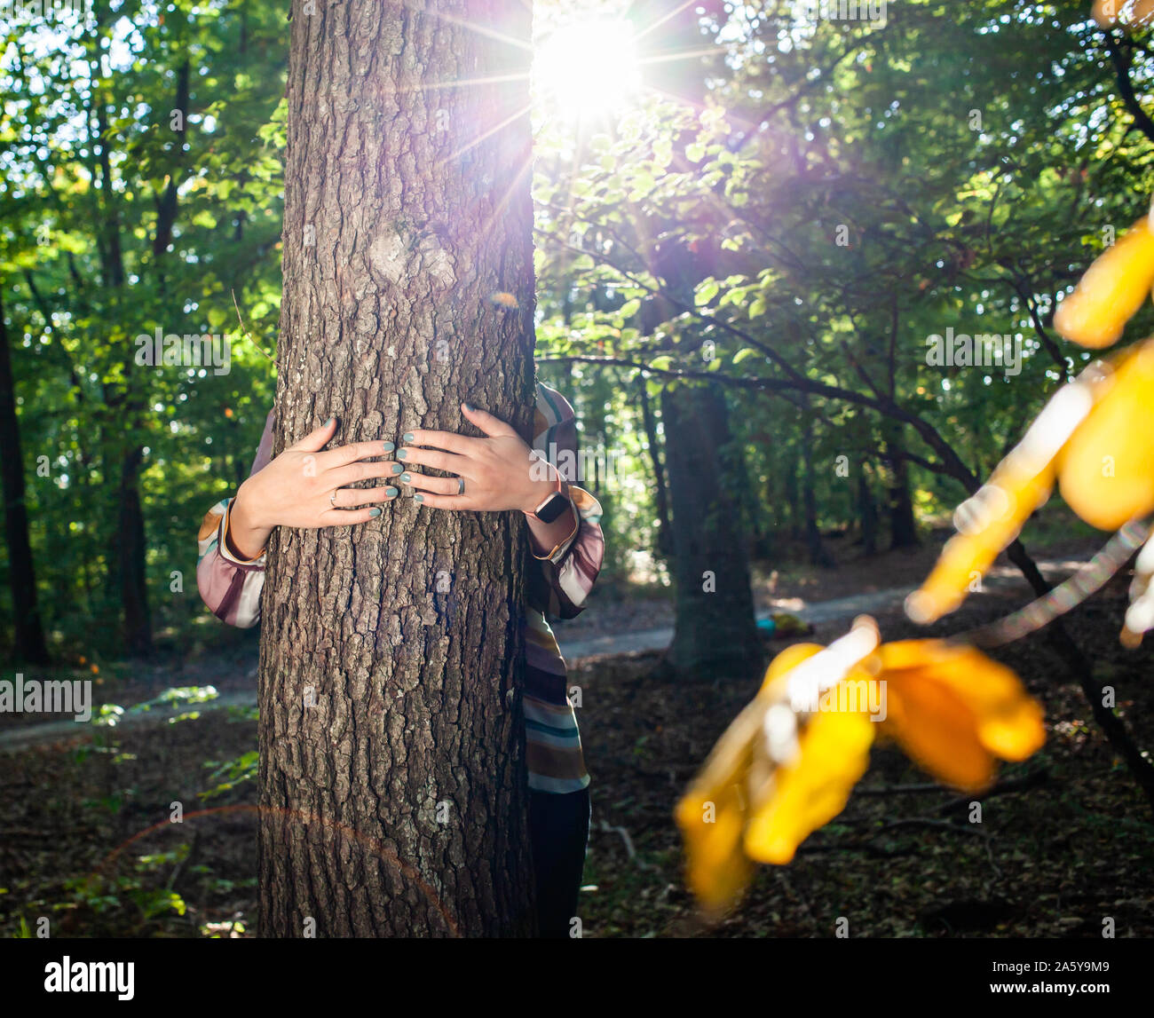 Frau Hände und umarmte einen Baum - Bekämpfung des Klimawandels, speichern Sie den Planeten Erde Stockfoto