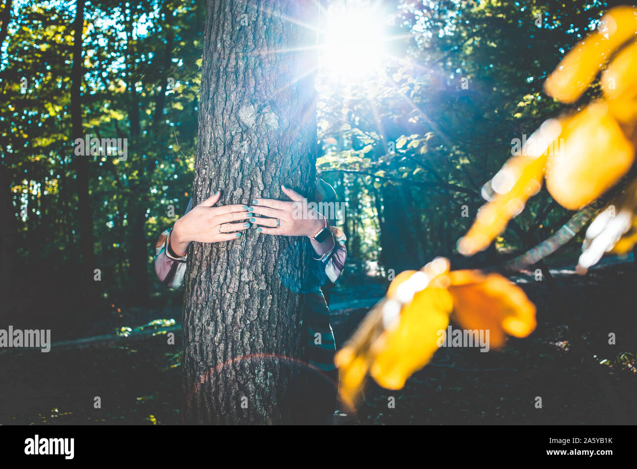 Frau Hände und umarmte einen Baum - Bekämpfung des Klimawandels, speichern Sie den Planeten Erde Stockfoto