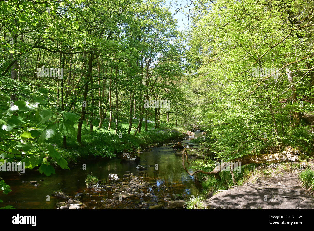 Hebden Wasser, Hardcastle Crags, Hebden Bridge Stockfoto