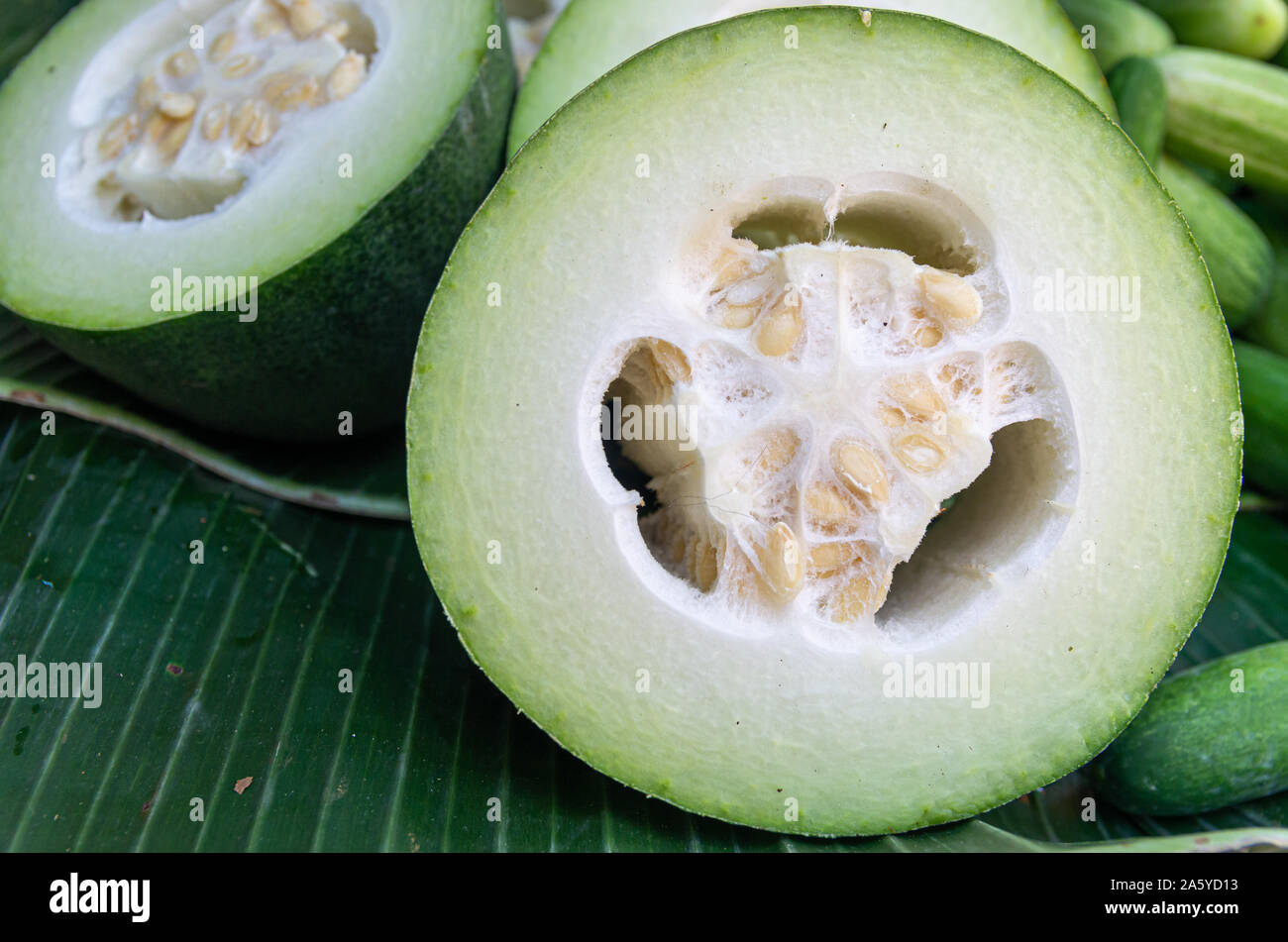 Nahaufnahme eines Winter Melone (benincasa Hispida) auf Banana Leaf - ausgewählte Fokus - text Raum Stockfoto