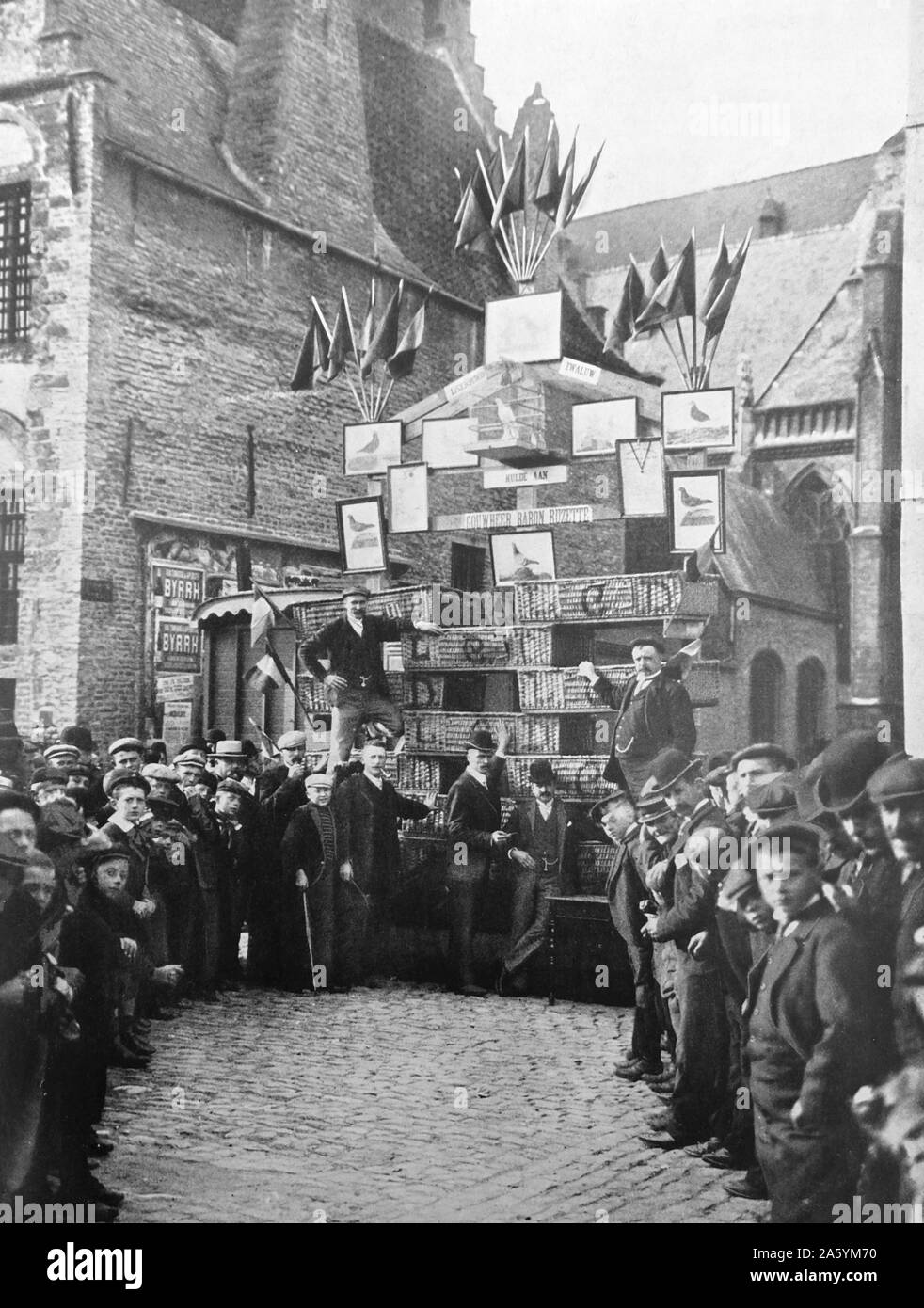 Eine Taube fliegen Wettbewerb, Belgien Stockfoto