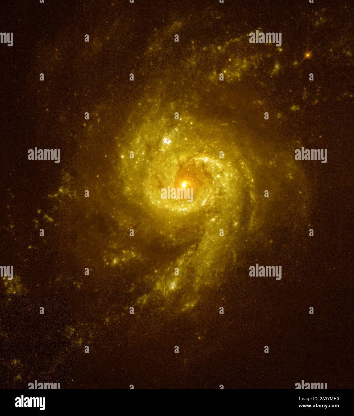 Die Galaxie NGC 3310. Es ist eine von mehreren Starburst Galaxien, die Brutstätten der Sternentstehung sind. Hubble Space Telescope (HST). Stockfoto Die Galaxie NGC 3310. Es ist eine von mehreren Starburst Galaxien, die Brutstätten der Sternentstehung sind. Hubble Space Telescope (HST). Stockfoto