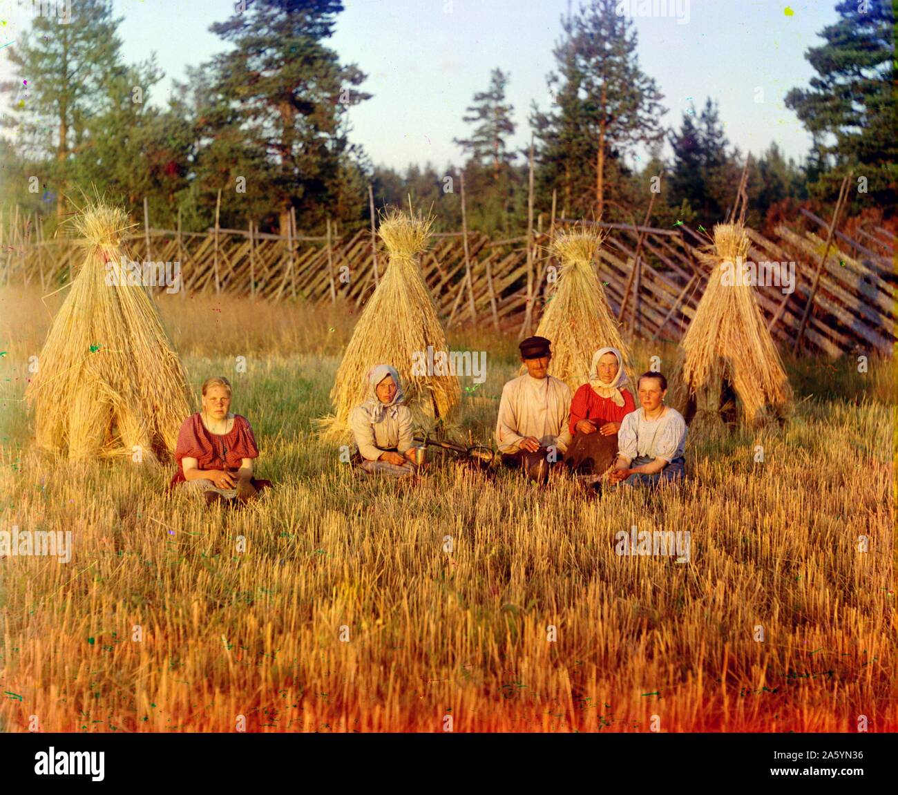Auf der Stoppel Feld 1909. Foto: Sergey Prokudin-Gorsky Stockfoto