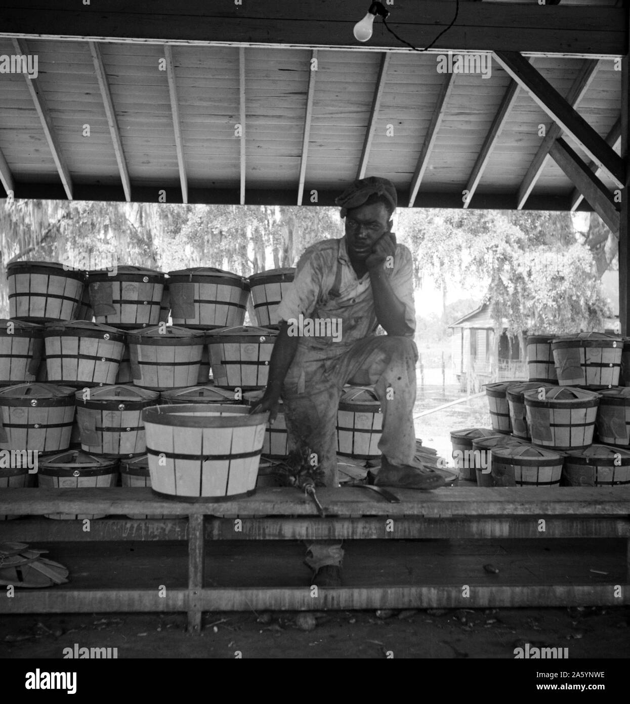 Migranten bringen Arbeiter. Nordostflorida von Dorothea Lange 1895-1965, datiert 1936 Stockfoto