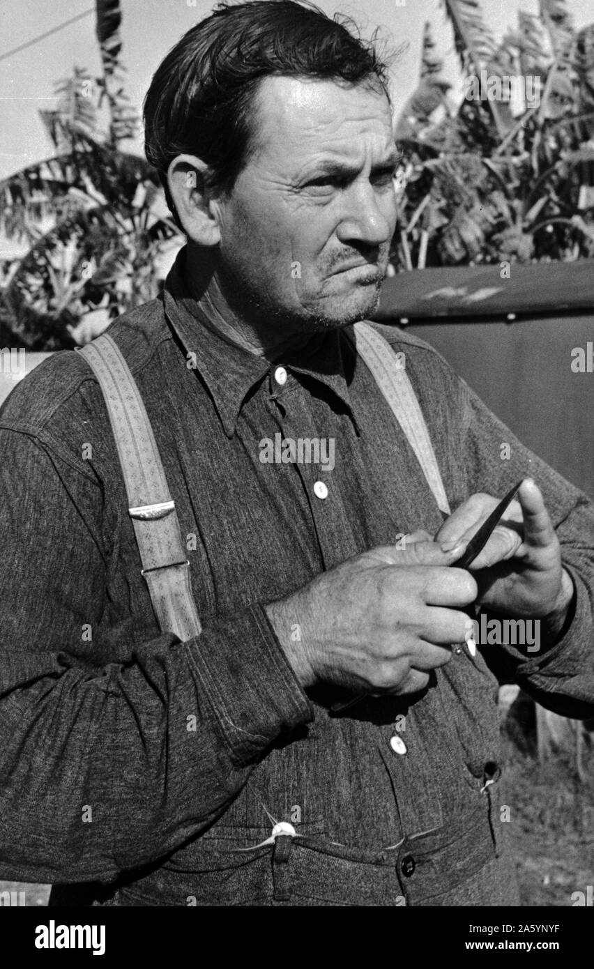 7a Migranten Obst Arbeiter in Belle Glade, Florida. Er war früher ein Farmpächter in George 19370101 Stockfoto