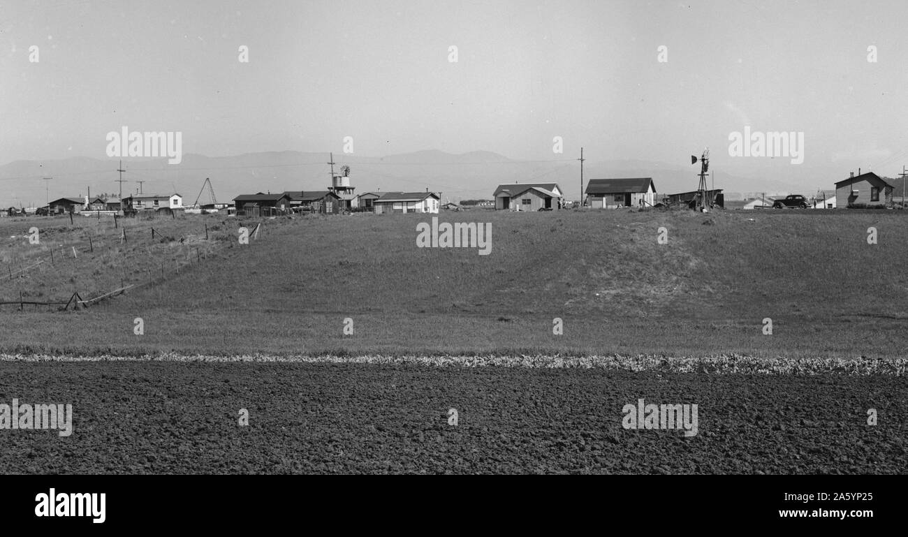 Stadtrand von Salinas, Kalifornien. Hütten von Kopfsalat vergossen Arbeitnehmer besetzt, viele von Oklahoma von Dorothea Lange 1895-1965, datiert 1939 Stockfoto