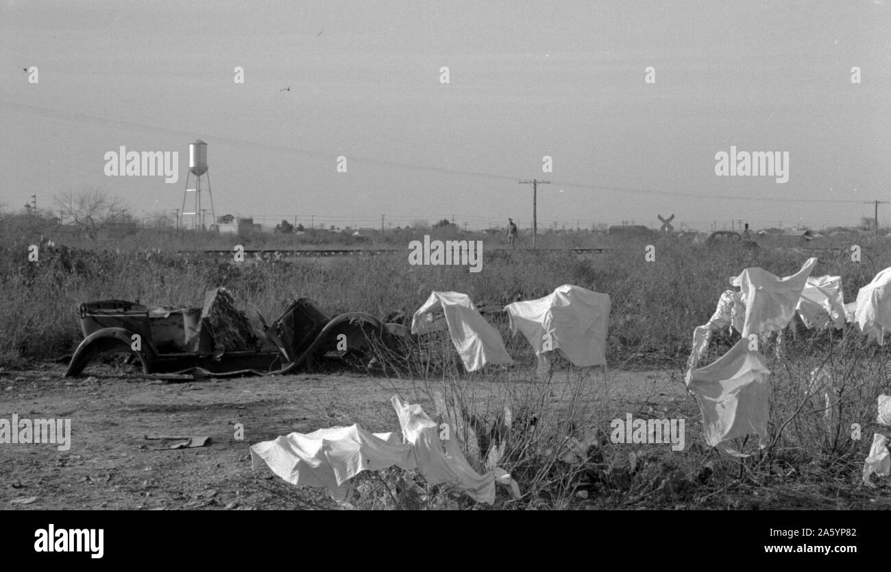 Wäsche von Wanderarbeitnehmern Trocknung auf Mesquite Bürste, Edinburg, Texas von Russell Lee, 1903-1986, datiert 19390101 Feb. Stockfoto