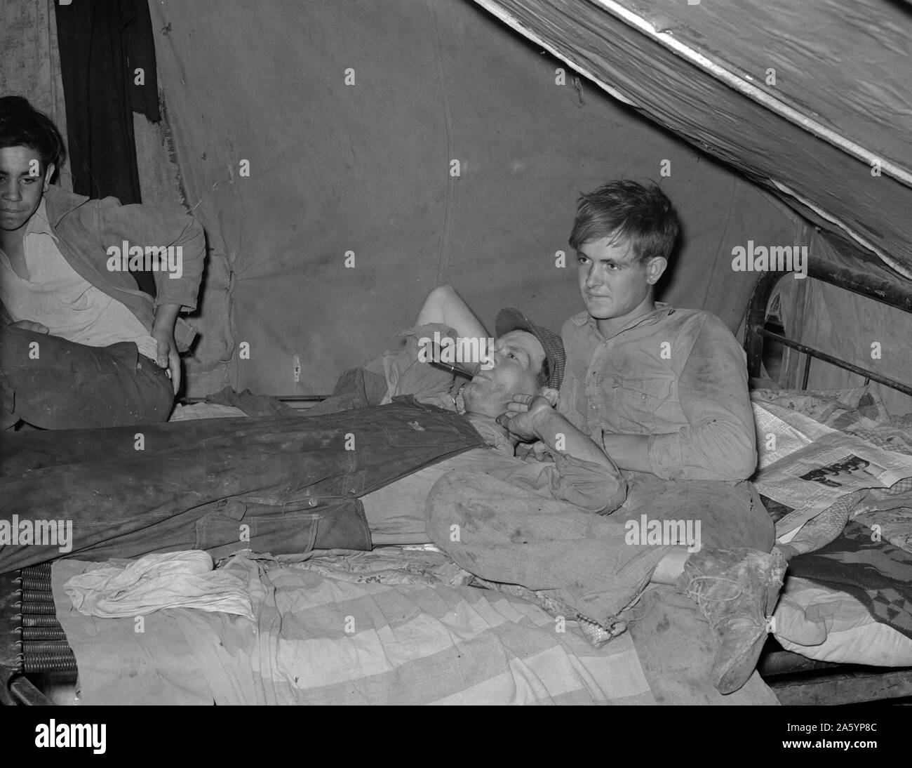 Der Sohn des weißen Wanderarbeitnehmer im Zelt in der Nähe von Harlingen, Texas von Russell Lee 1903-1986, Fotograf 19390101 Feb. Stockfoto