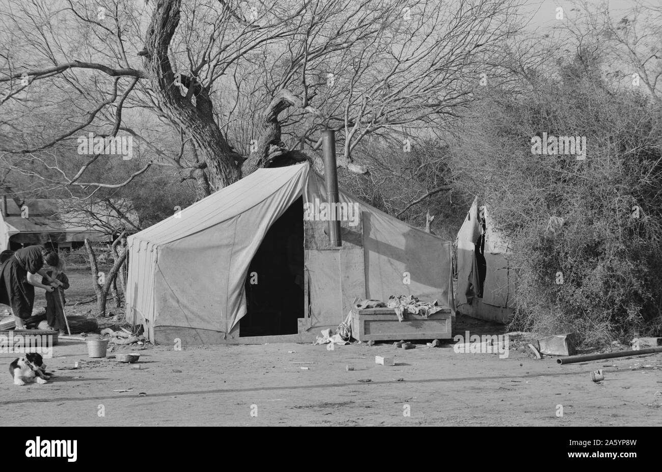 Lager der Wanderarbeitnehmer in der Nähe von Harlingen, Texas von Russell Lee 1903-1986, Fotograf 19390101 Feb. Stockfoto