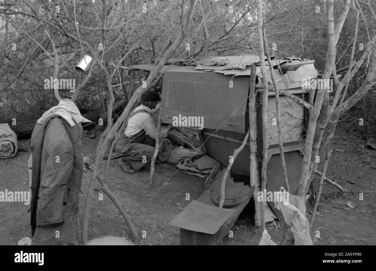 Weiße Wanderarbeiter leben in Lager mit zwei anderen Männern, die auf mageren, welches seine schlafende zu vierteln. In der Nähe von Harlingen, Texas von Russell Lee, 1903-1986, vom 19390101. Stockfoto