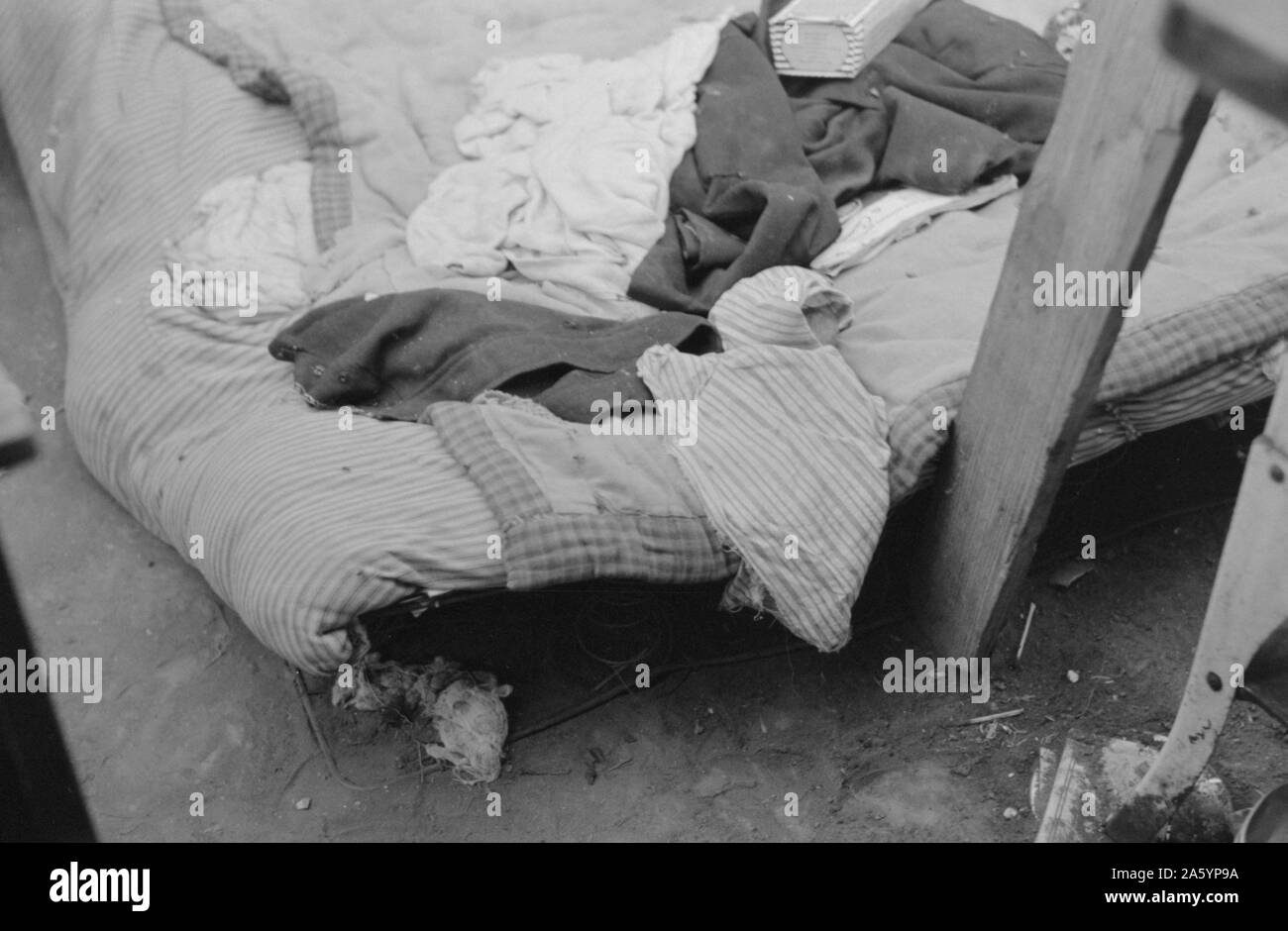 Bett von weissen Wanderarbeitnehmer bestehend aus Matratze auf dem Boden in der Nähe von Harlingen, Texas von Russell Lee, 1903-1986, vom 19390101. Stockfoto
