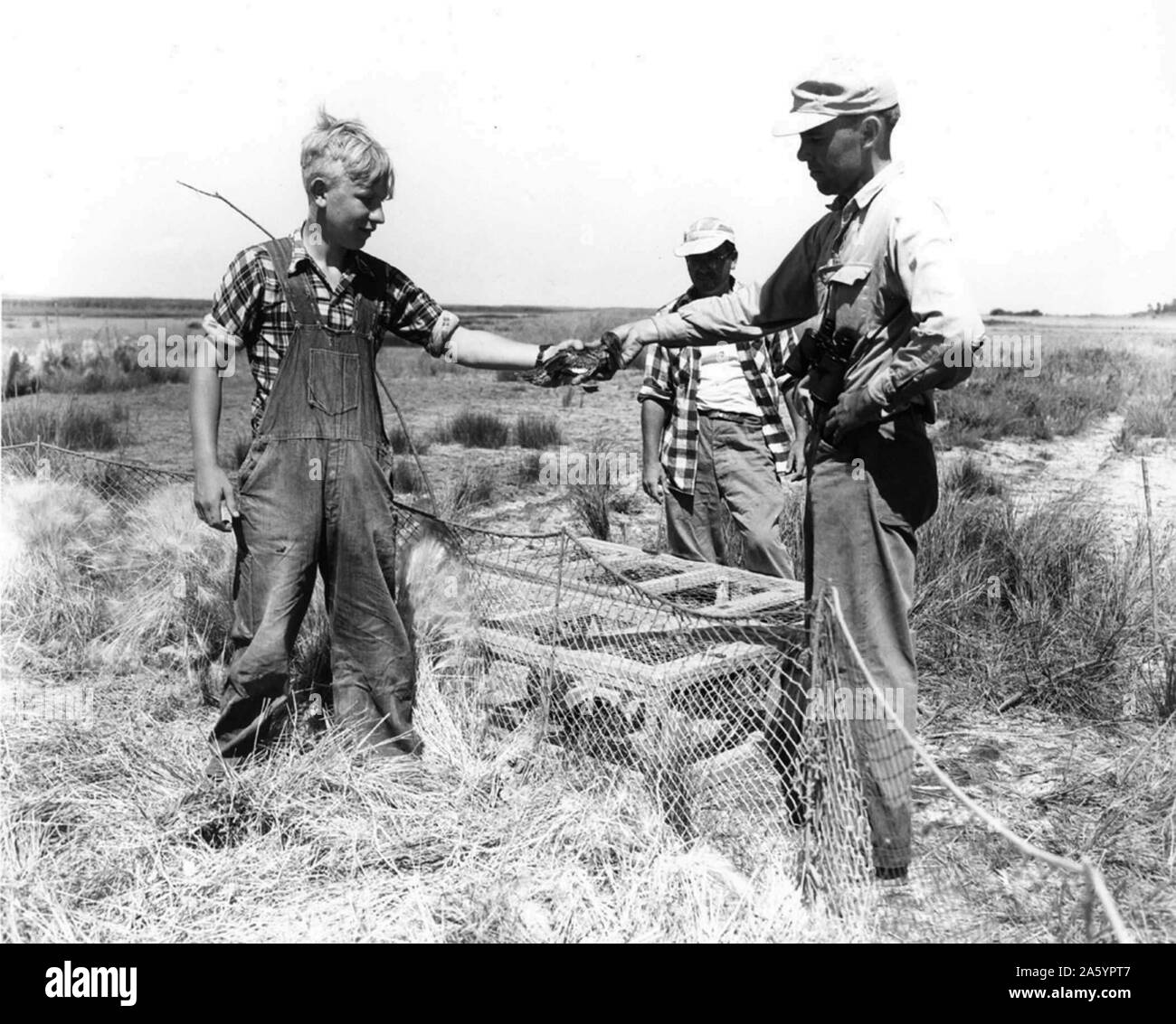Zwei Erwachsene Männer mit einem kleinen Jungen im Bereich tätig. USA-Tiefstand-Ära 1938 Stockfoto