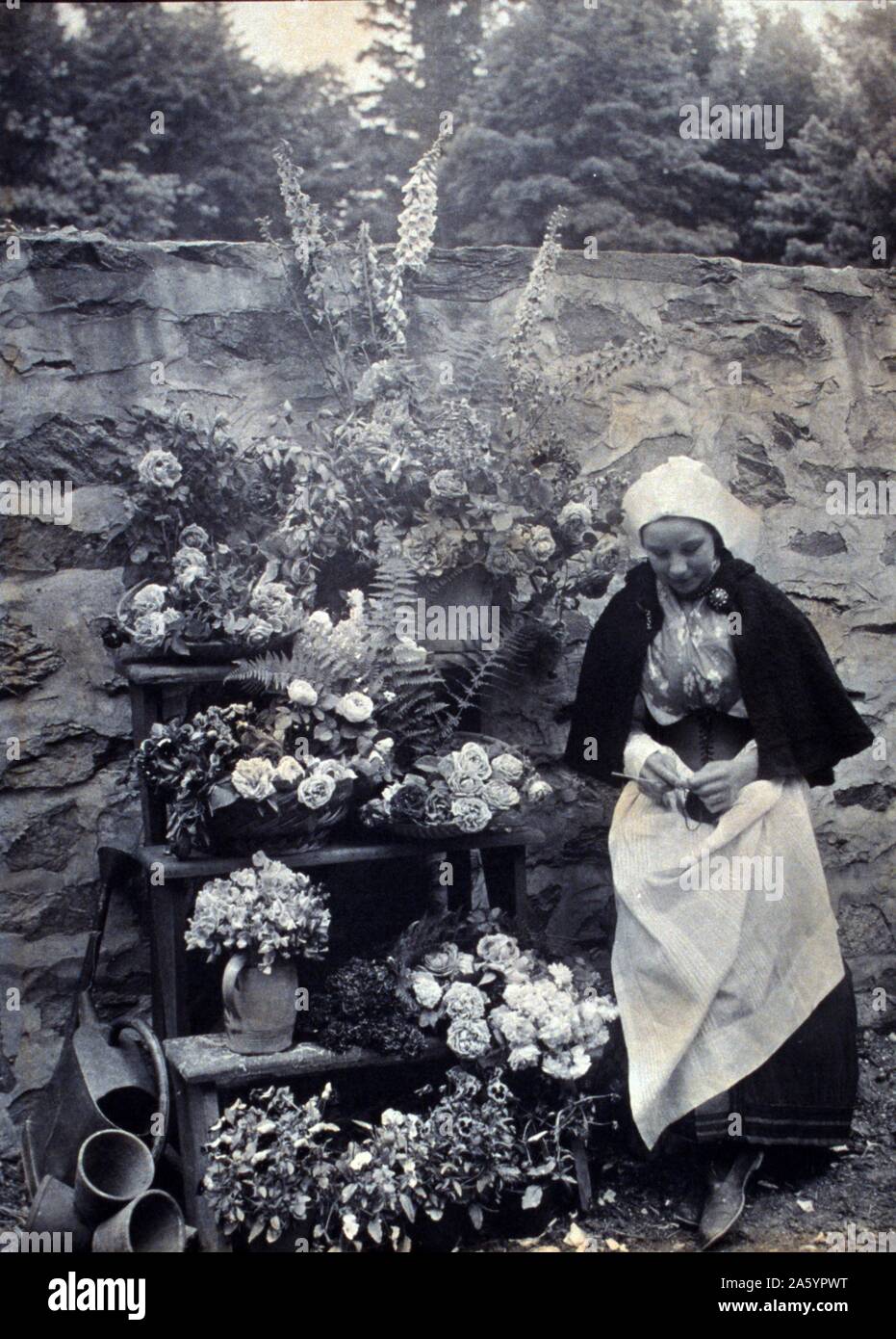 Holländische Blumenverkäuferin, Frau im holländischen Stil Kostüm stehen und stricken neben einer Steinmauer und das große Display der Blumen ca. 1900. Stockfoto