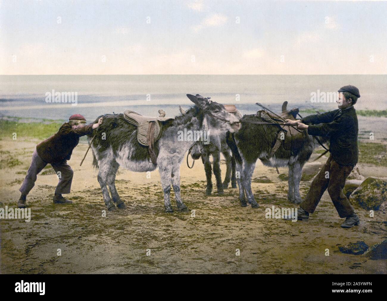 Zwei Jungs, die versuchen, einen störrischen Esel an einem Strand In England rühren Stockfoto