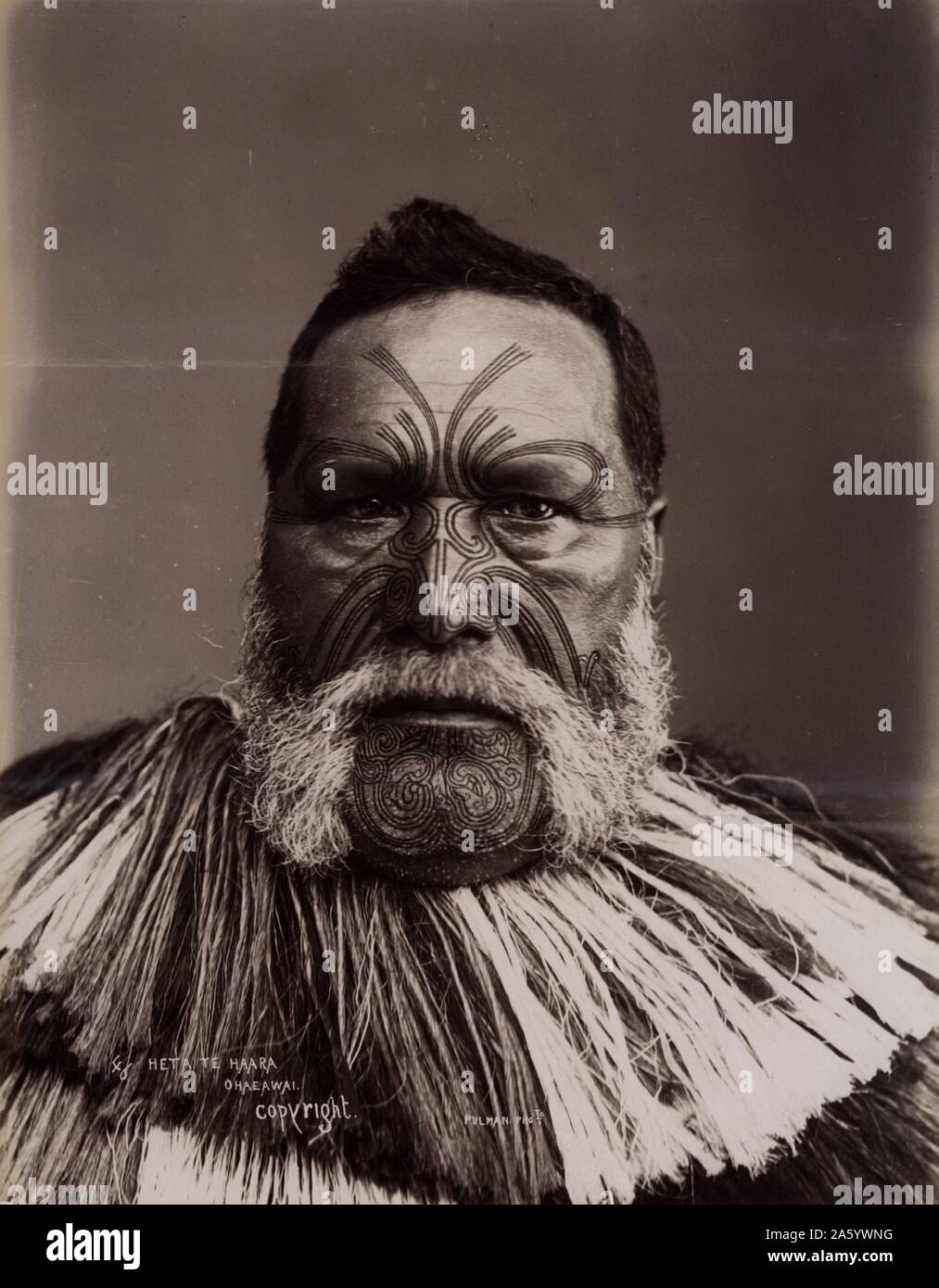 Heta Te Haara, Puketutu (Maori Chef mit Gesicht Tattoos) Photograophed New Zealand 1880 Stockfoto