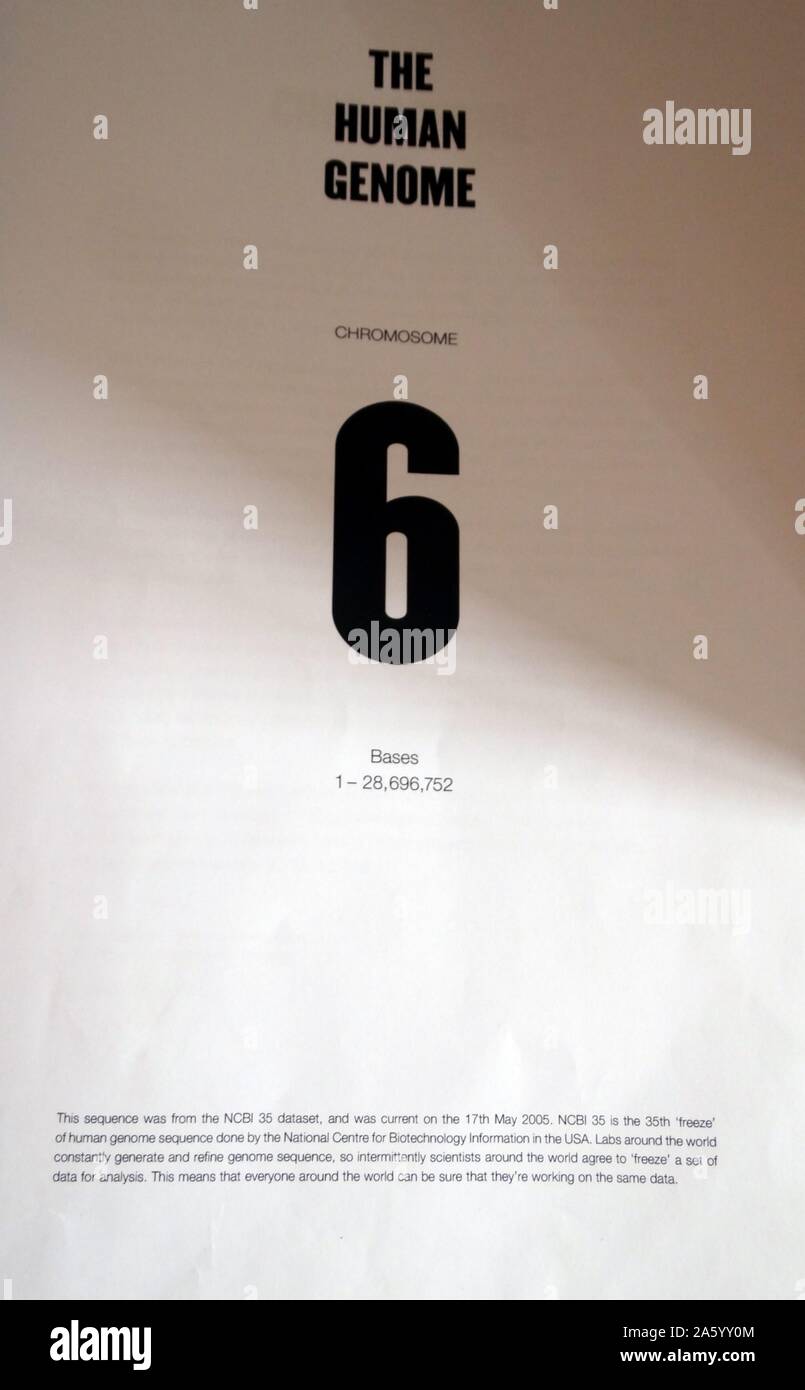 Das menschliche Genom ist die Gesamtheit der Nukleinsäure-Sequenz für den Menschen (Homo Sapiens), innerhalb der 23 Chromosomenpaare im Zellkern und in einem kleinen DNA-Molekül gefunden in einzelne Mitochondrien als DNA codiert. Datierte 2015 Stockfoto Das menschliche Genom ist die Gesamtheit der Nukleinsäure-Sequenz für den Menschen (Homo Sapiens), innerhalb der 23 Chromosomenpaare im Zellkern und in einem kleinen DNA-Molekül gefunden in einzelne Mitochondrien als DNA codiert. Datierte 2015 Stockfoto