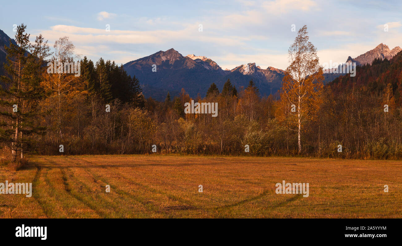 Wald in den Alpen In einem Tal an einem Herbsttag im Oktober in Bayern Stockfoto