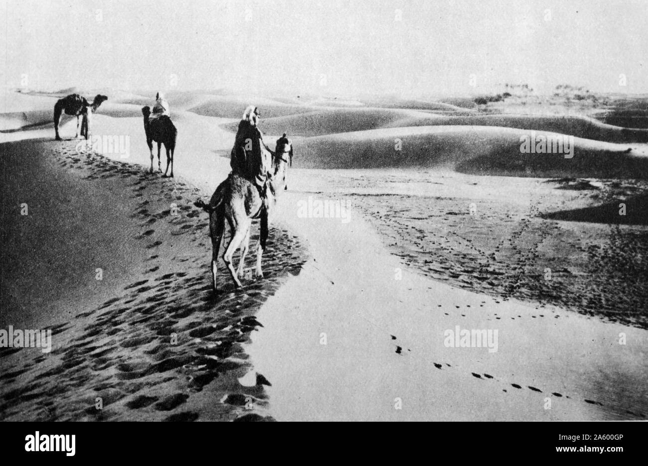Nordafrikanischen Arabern überqueren die Wüste Sahara mit dem Kamel 1930 Stockfoto