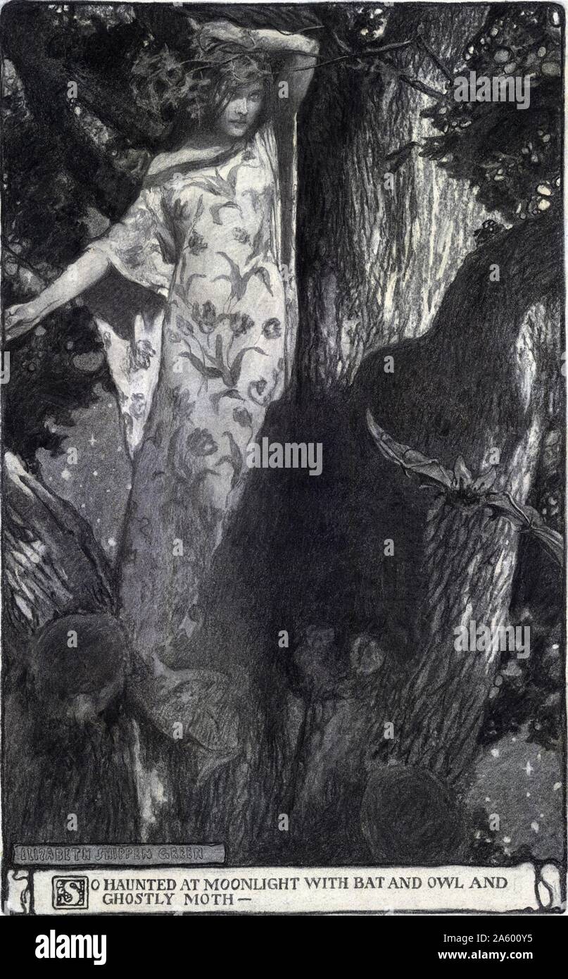 Abbildung, Darstellung einer jungen Dryade ausgewogen in Baumkrone Niederlassungen u. eine Fledermaus, Eule und Insekten von Elizabeth Shippen Green (1871-1954) amerikanischen Illustratorin. Vom 20. Jahrhundert Stockfoto