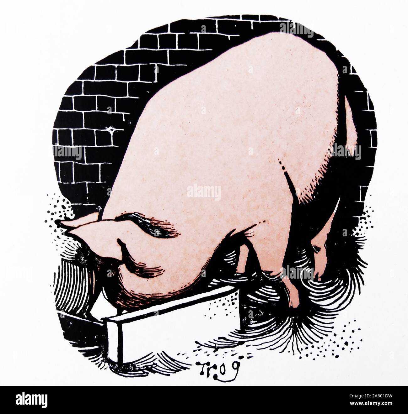 Karikatur von einer Schweinemast Walter Ernest "Wally" Fawkes (geb. 1924). Britisch-kanadischen jazz-Klarinettist und satirische Karikaturist. Als Karikaturist arbeitete er in der Regel unter dem Namen "Trog". Stockfoto