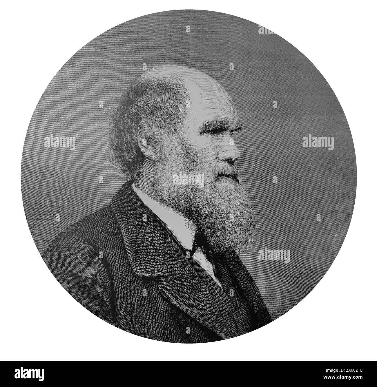 Charles DARWIN - 1809-1882 Stockfoto