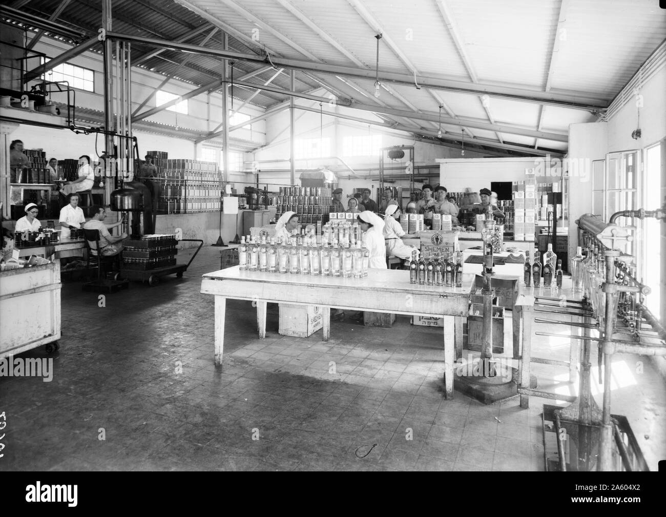 Jüdische Fabriken in Palästina auf Ebene von Sharon & entlang der Küste nach Haifa. Haifa. "Shemen" funktioniert. Stockfoto
