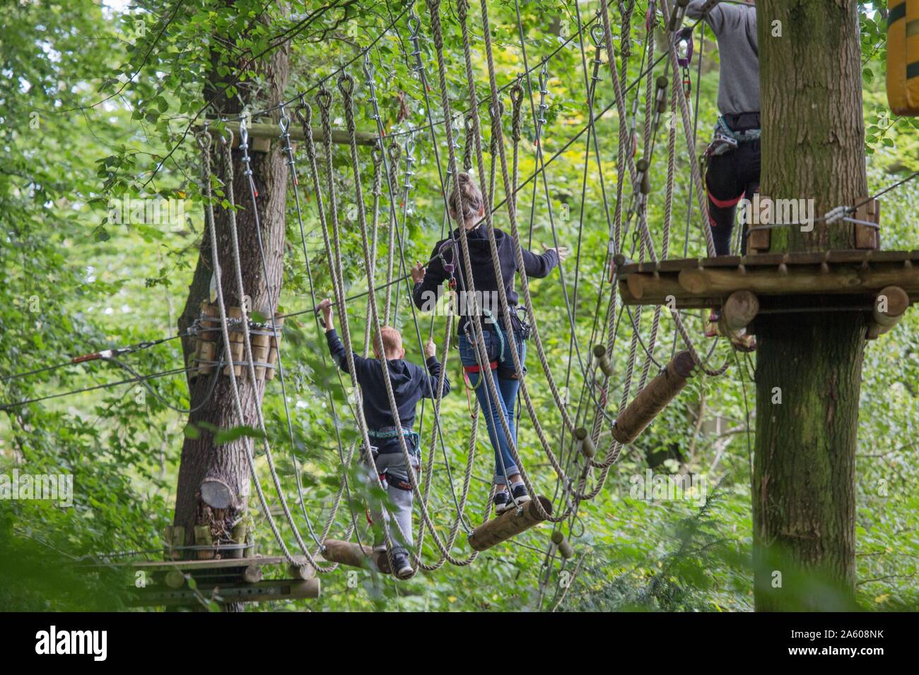 Frankreich, Terroir de Caux, Denestanville, Ard'aventure, treetop adventure Kurs und Paintball, Hochseilgarten, Stockfoto