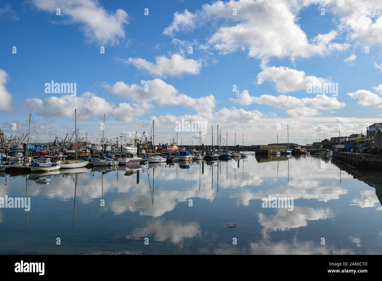 Newlyn, Cornwall, UK. 23. Oktober 2019. UK Wetter. Warm und sonnig heute Mittag in Newlyn Harbour. Kredit Simon Maycock/Alamy Leben Nachrichten. Stockfoto