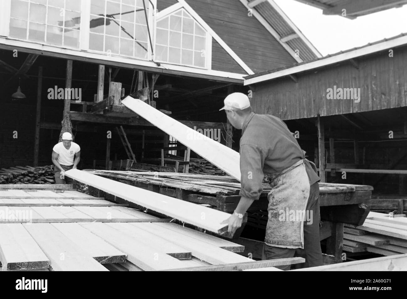 Mitarbeiter des Sägewerks beginnen mit dem zurechtschneiden, Insjön Schweden 1969. Mitarbeiter des Sägewerks sind das Schneiden der Protokolle in der richtigen Größe, Insjön Schweden 1969. Stockfoto