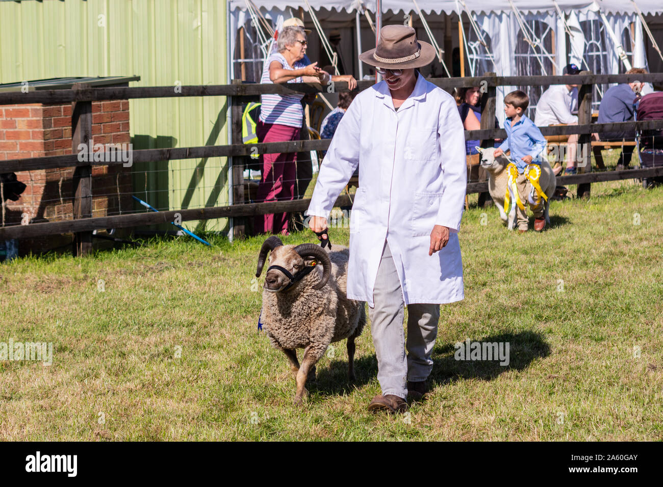 Ein stolzer Aussteller mit ihren Schafen Genießen der Grand tierische Parade an der Frome Chees zeigen, 14. September 2019 Stockfoto