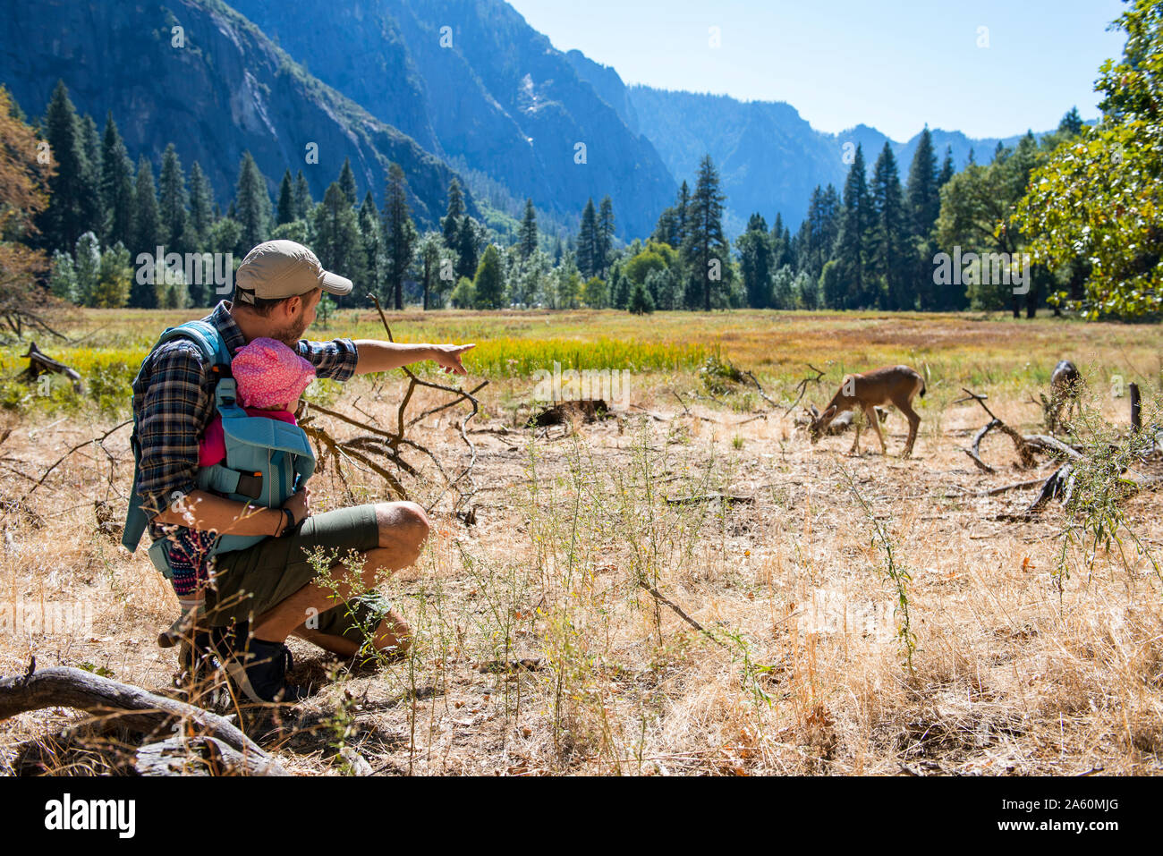 Vater und Baby Mädchen beobachten Maultier Rehe zusammen, Yosemite National Park, Kalifornien, USA Stockfoto
