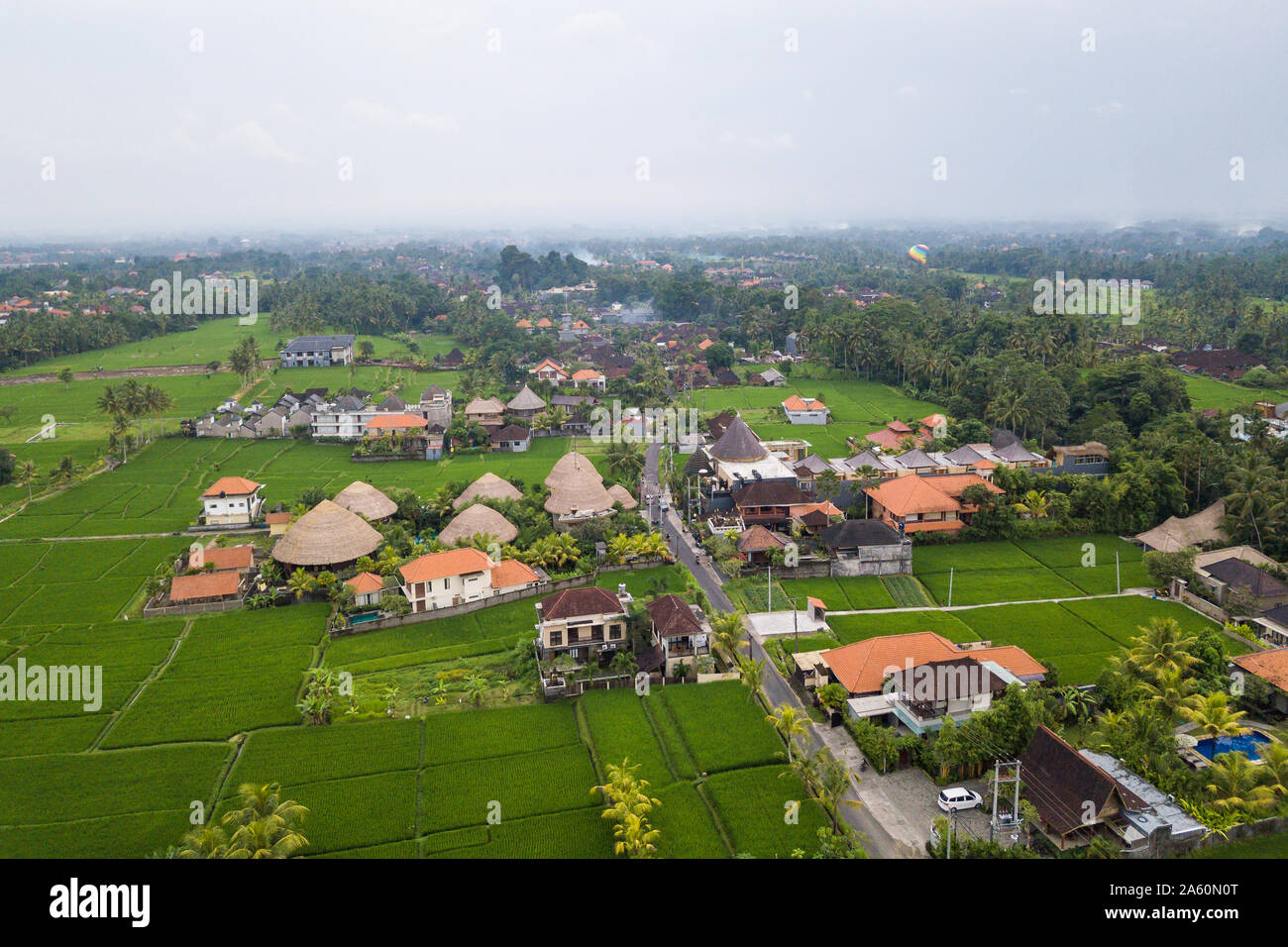 Luftaufnahme von Ubud Landschaft in Bali. Stockfoto