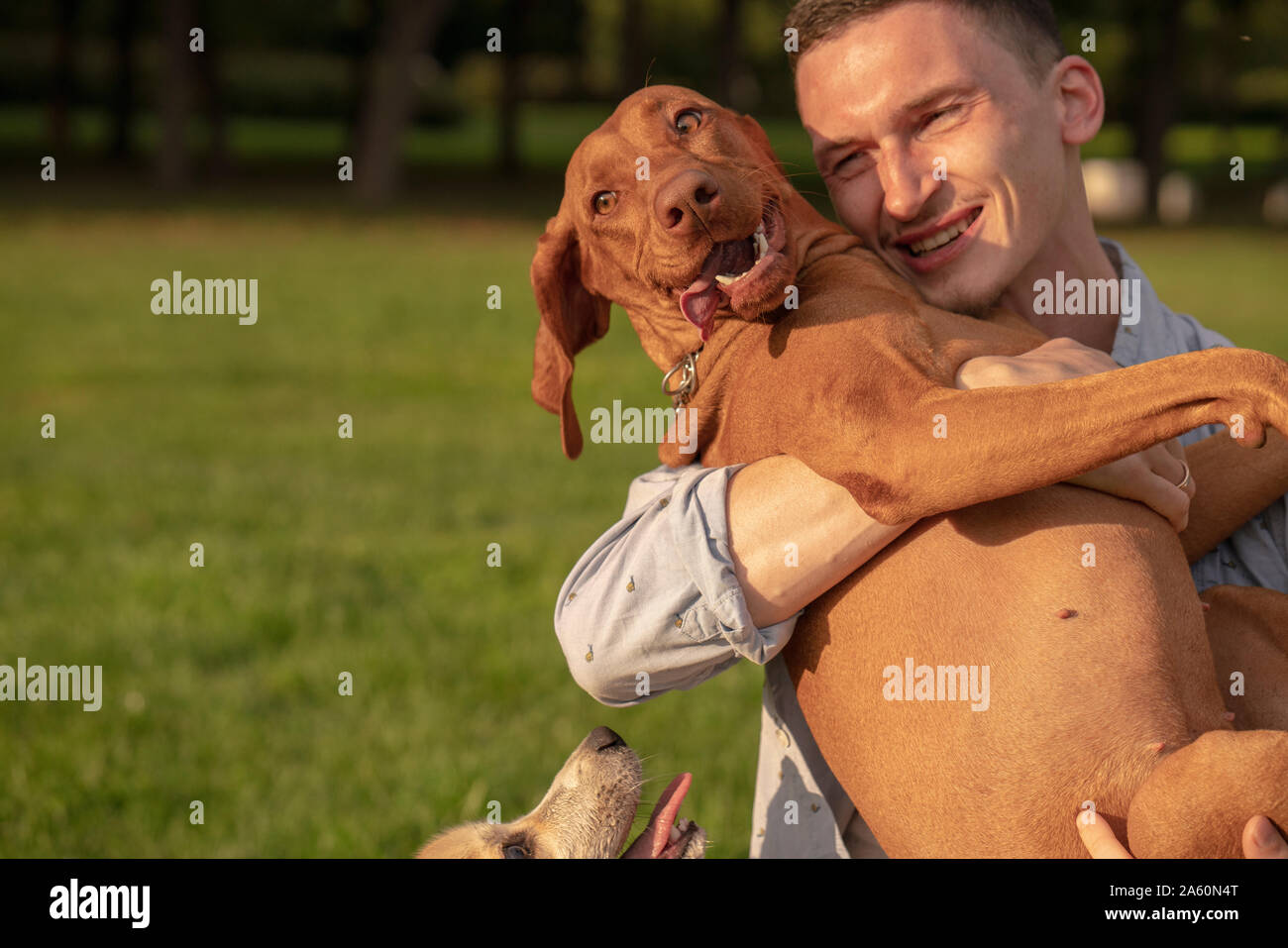 Junger Mann mit seinem Hund, kuscheln auf einer Wiese Stockfoto