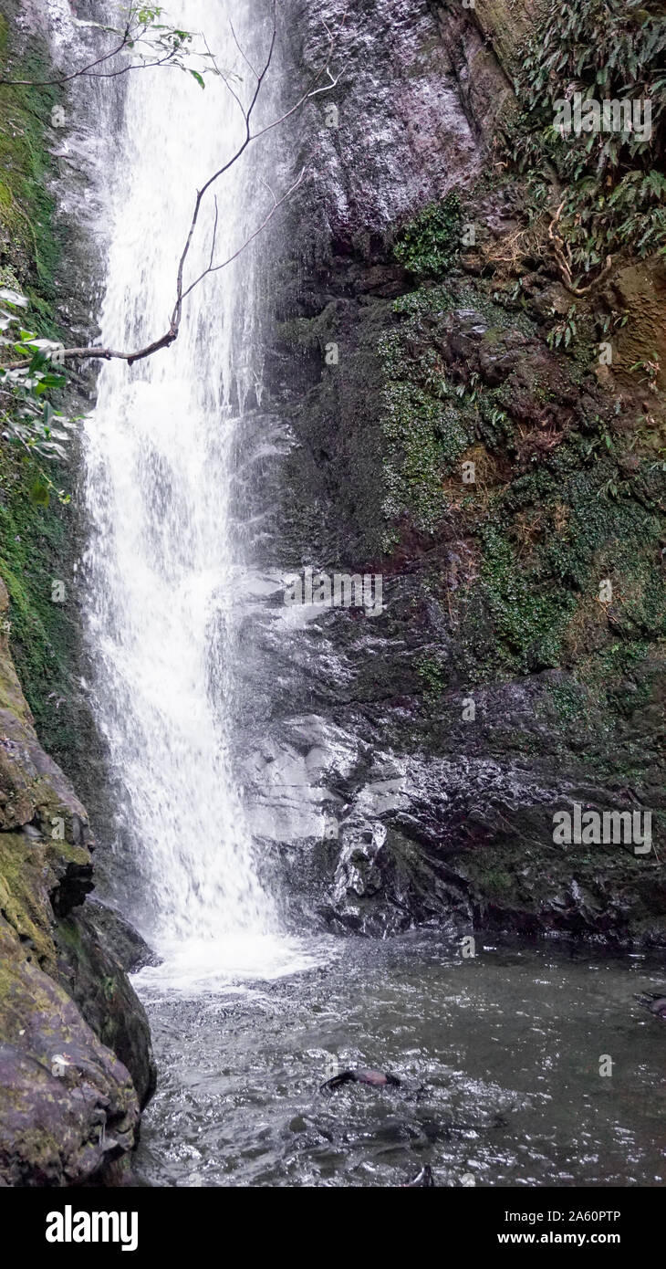 Sicht auf die Hügel von Gisborne, Neuseeland Stockfoto