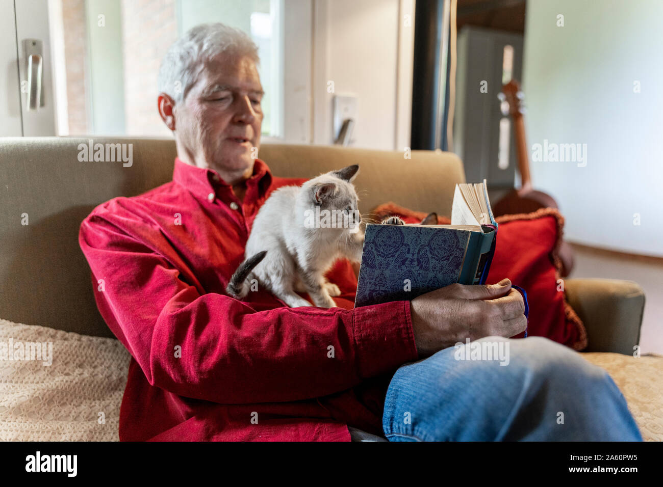 Älterer Mann mit Kätzchen siiting auf dem Sofa mit einem Buch Stockfoto