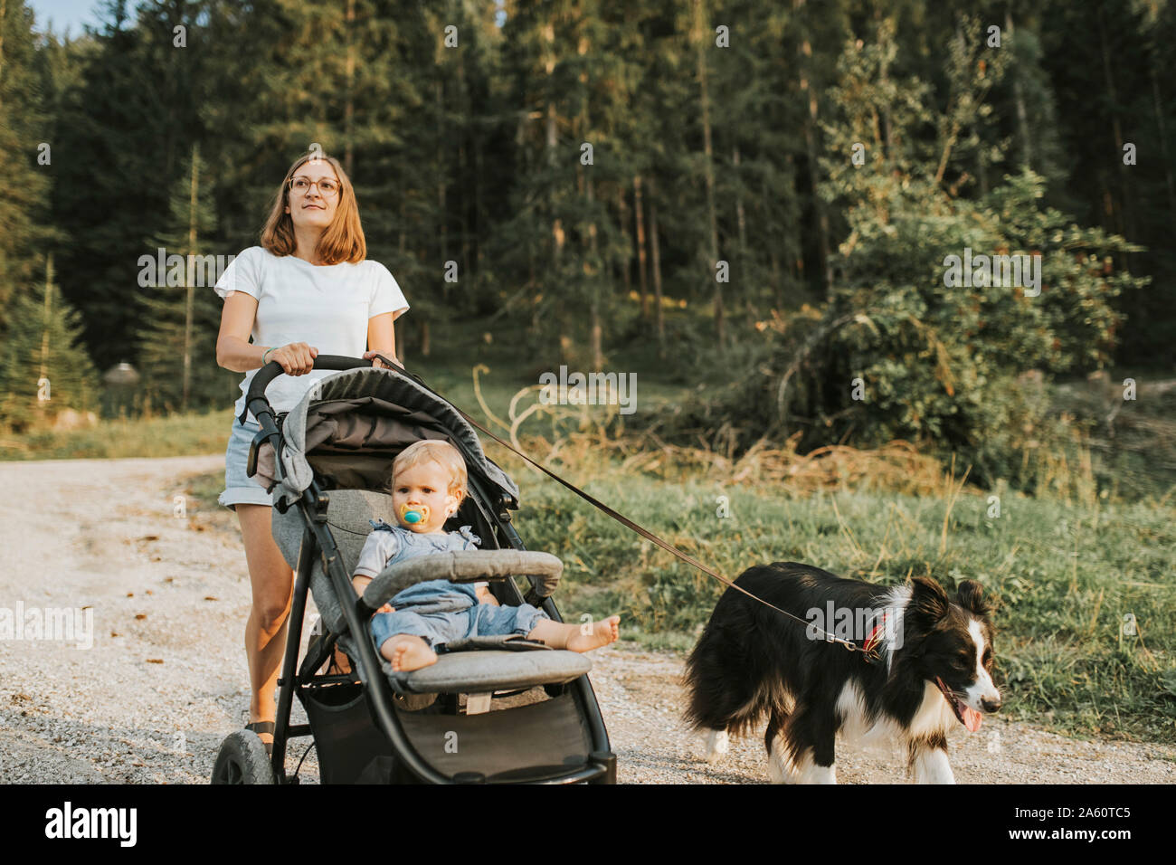 Mutter mit Baby im Kinderwagen und Hund zu Fuß auf den Waldweg Stockfoto