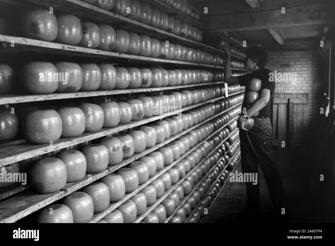 Bild von einer Auswahl von Käse, Alkmaar Niederlande 1971. Bild von einer Vielzahl von Käse, Alkmaar Niederlande 1971. Stockfoto