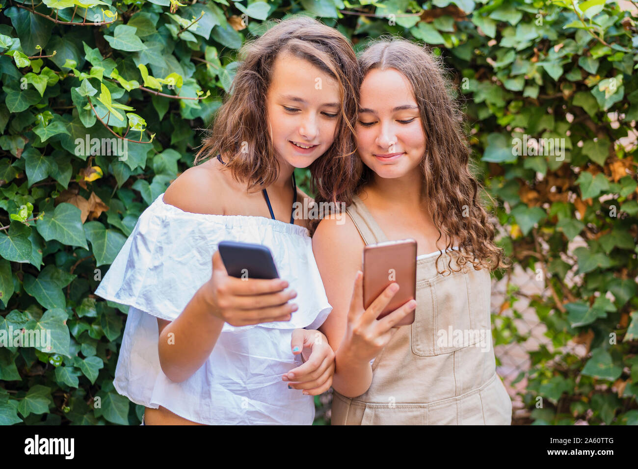 Junge Mädchen mit Smartphone auf Efeu Hintergrund Stockfoto