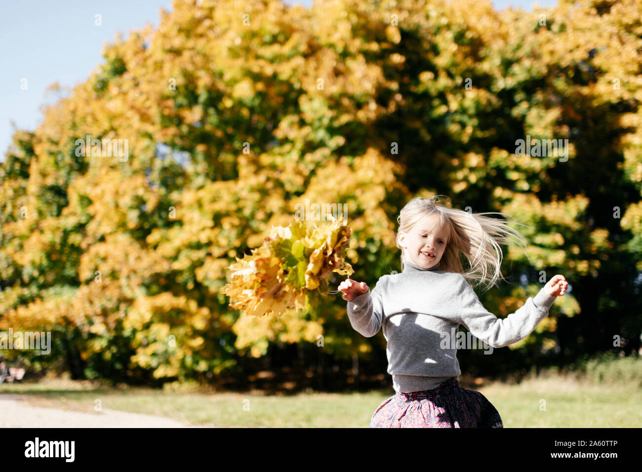 Portrait von lächelnden Mädchen mit Kranz im Herbst im Park Stockfoto