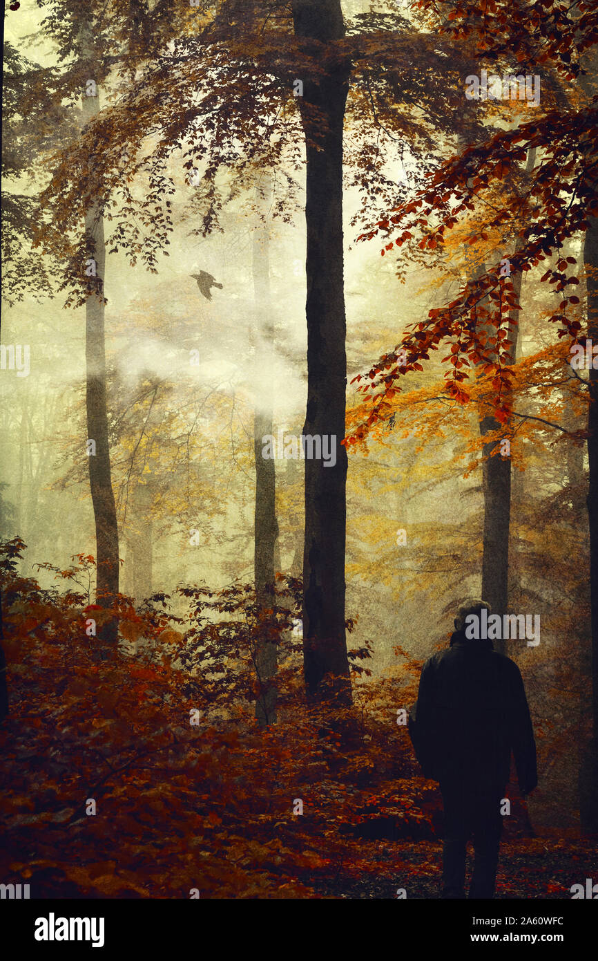Rückansicht des Menschen im Herbst Wald Stockfoto