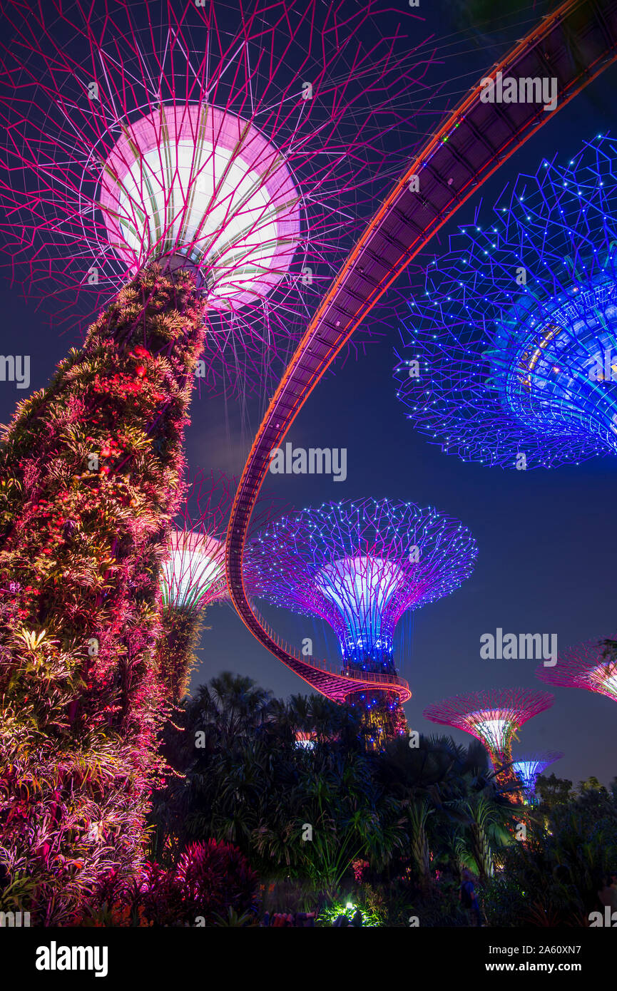 Supertrees der Gärten durch die Bucht mit hohen Gang, in der Nacht, Singapur, Südostasien, Asien Stockfoto