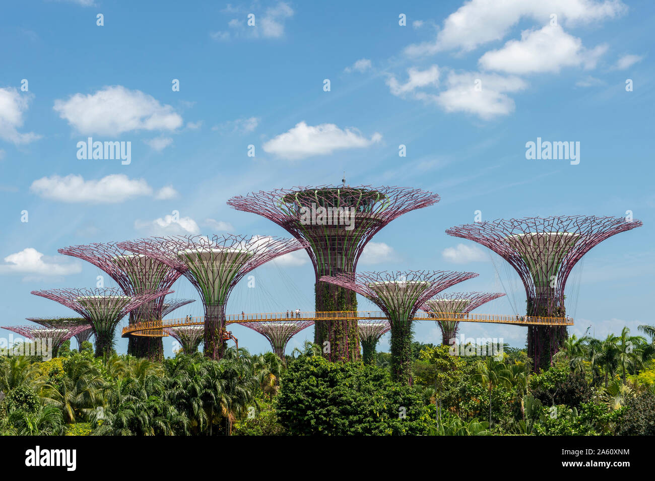 Die Supertrees der Gärten durch die Bucht mit hohen Gehweg, Singapur, Südostasien, Asien Stockfoto