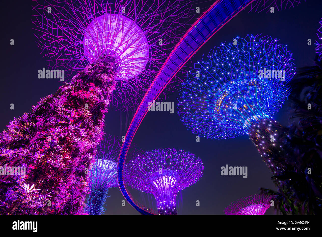 Die Supertrees der Gärten durch die Bucht mit hohen Gang, in der Nacht, Singapur, Südostasien, Asien Stockfoto