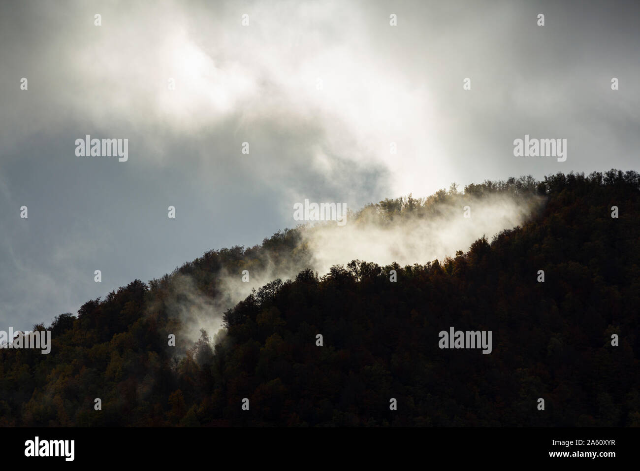 Naturschutzgebiet Muniellos, Naturpark Fuentes del Narcea Degaña e Ibias, Asturien, Spanien, Europa Stockfoto