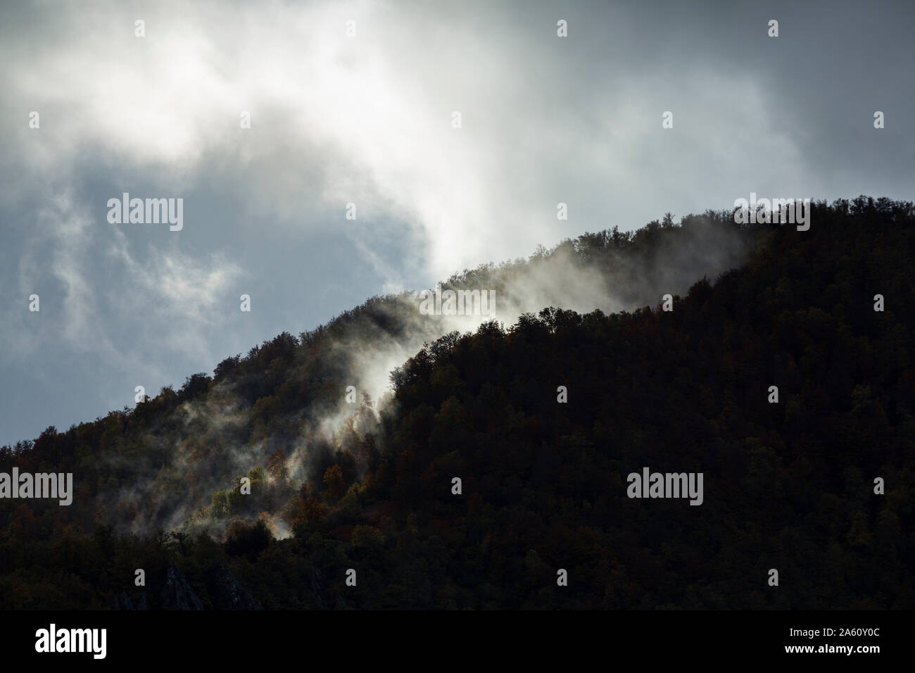 Naturschutzgebiet Muniellos, Naturpark Fuentes del Narcea Degaña e Ibias, Asturien, Spanien, Europa Stockfoto